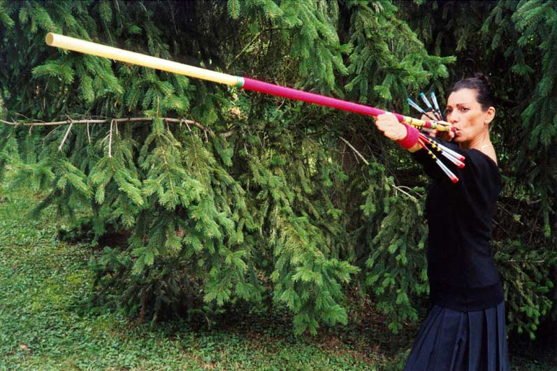 PHOTOS SARBACANE(SARBACANA sapin)