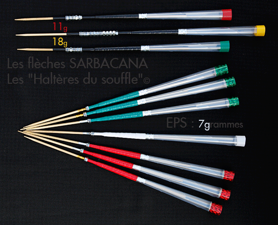 Les fl&egrave;ches SARBACANA ou "Halt&egrave;res du souffle" 